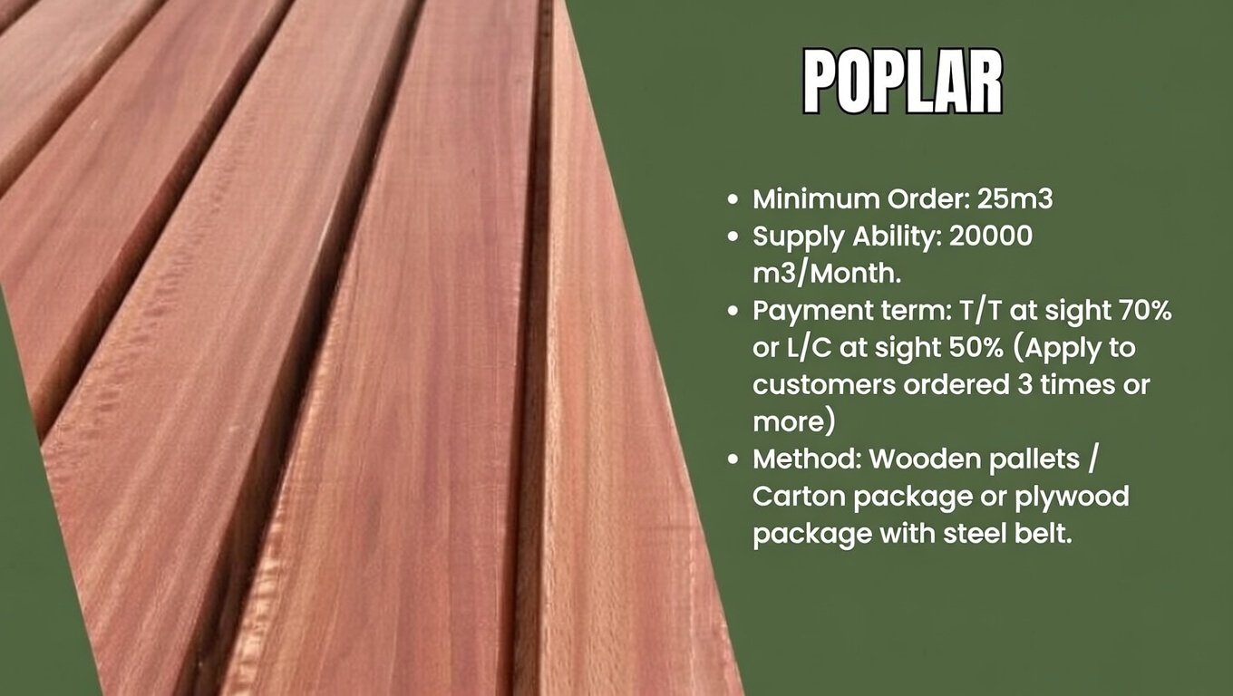 poplar